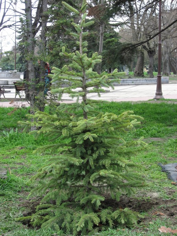 IMG_7089.jpg - � �� ��������� ����� ���� ������������