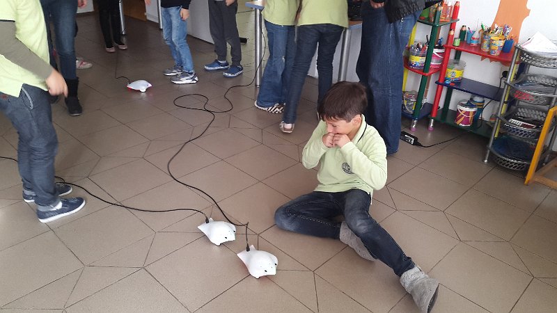 20161021_133119.jpg - IICSA   II