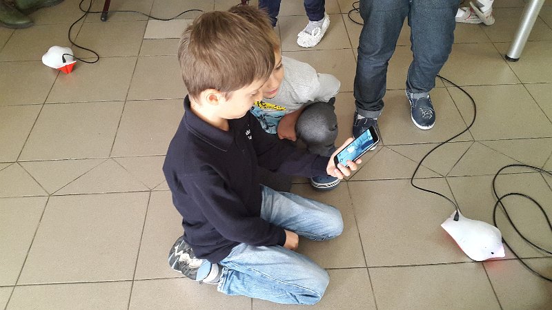 20161021_133246.jpg - IICSA   II